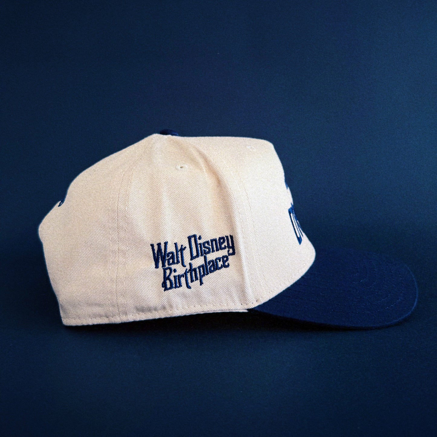 The Born To Dream Hat